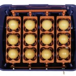 Top view of incubator with eggs