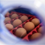 Close-up of Real 12 incubator control panel